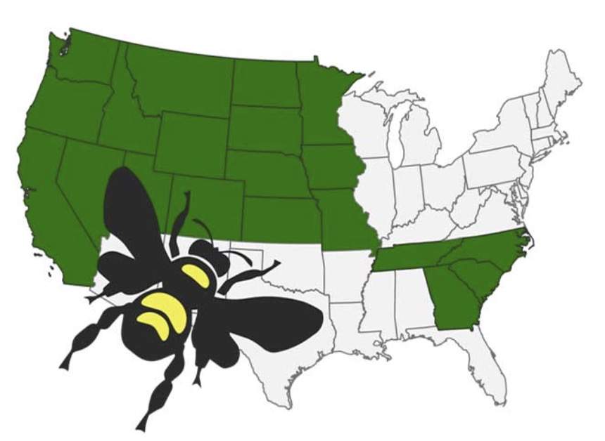 US states map of bumblebees via Xerces bumble bee atlas projects